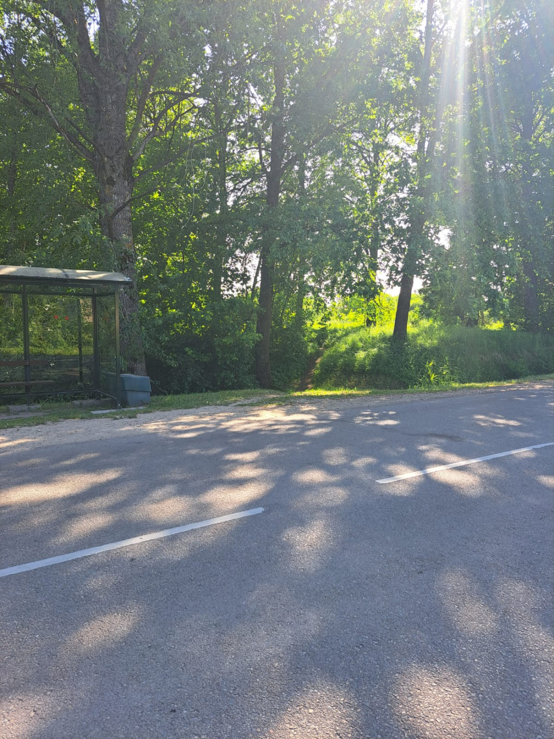 Autobusu pietura pie ceļa un meža
