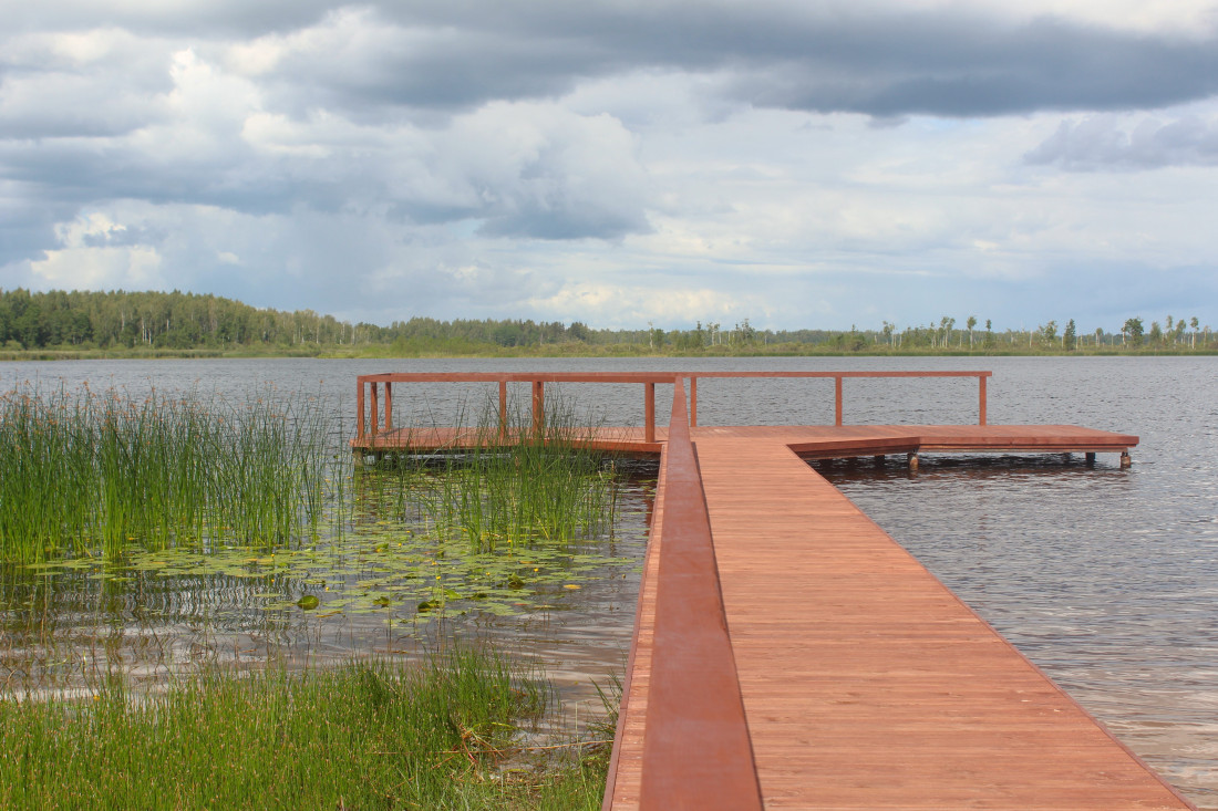 Wooden pier over lake water.