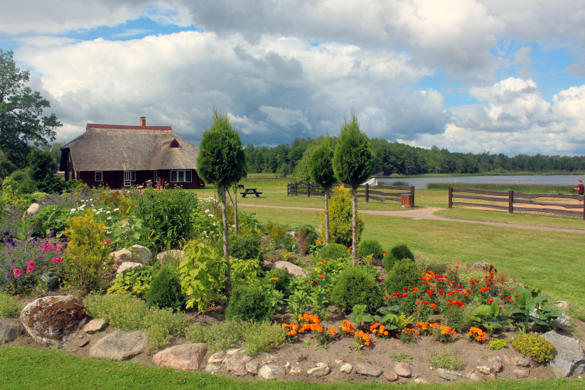 Vibrant flower garden by the lake.