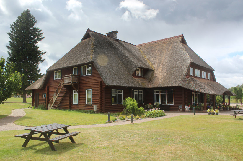 Spacious wooden house yard with a bench.