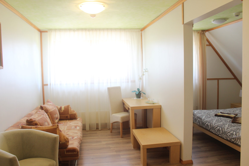 Room with seating area and desk