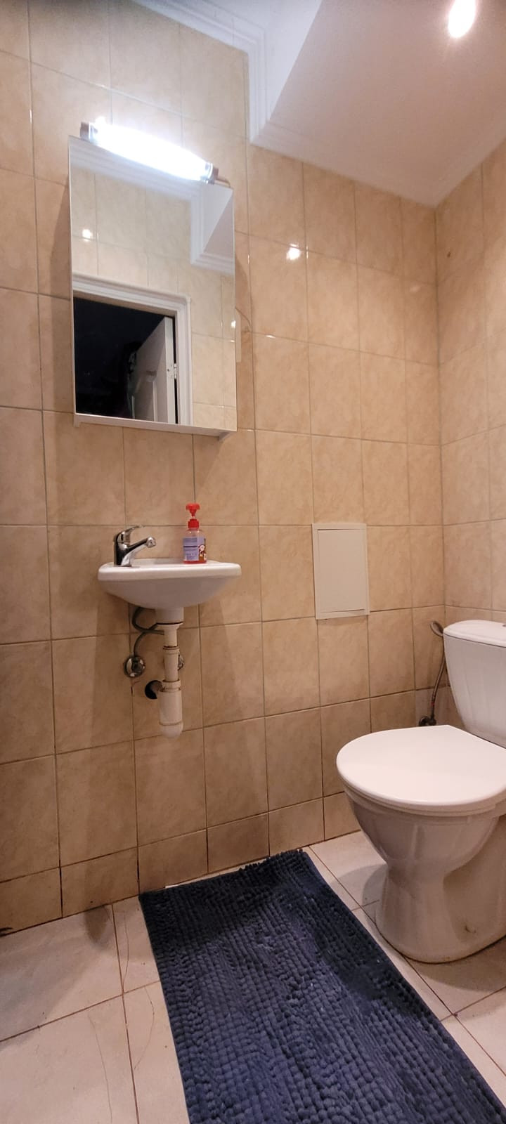 Туалет с небольшой раковиной и зеркалом над ней