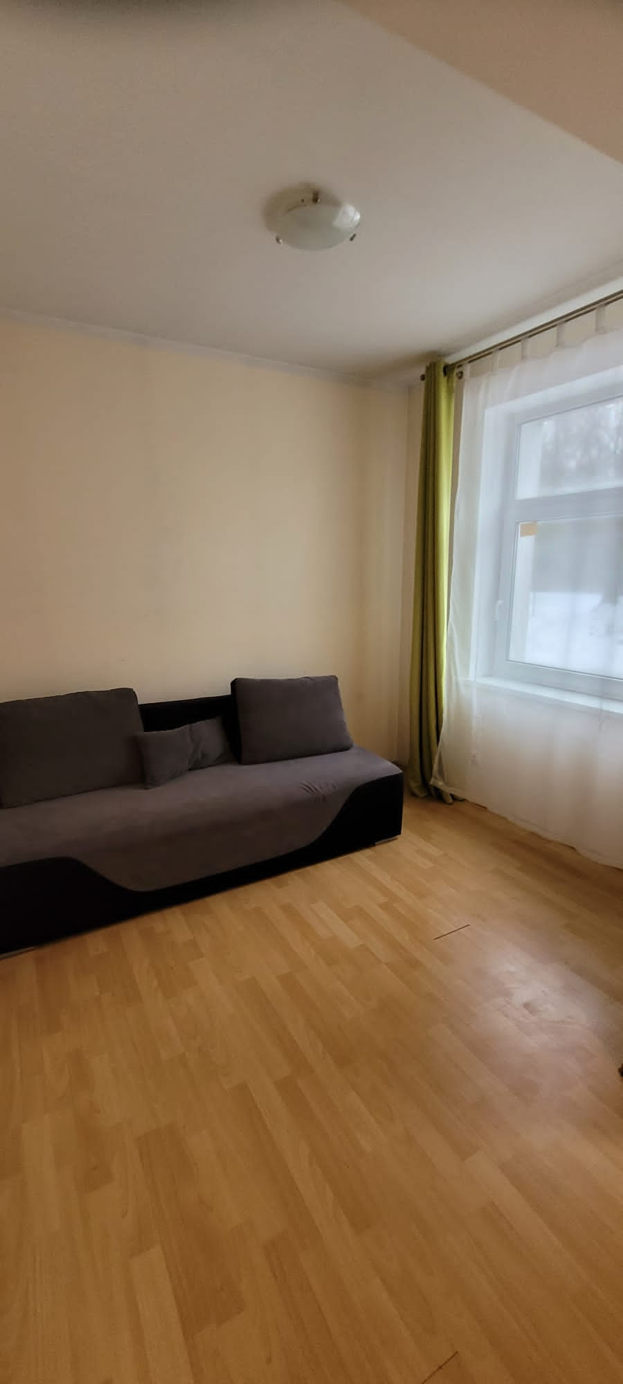 Living room with sofa and laminate floor
