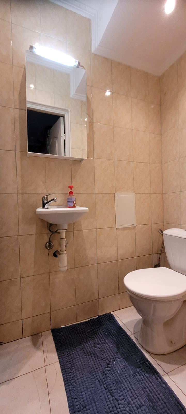 Toilet has small sink and mirror above