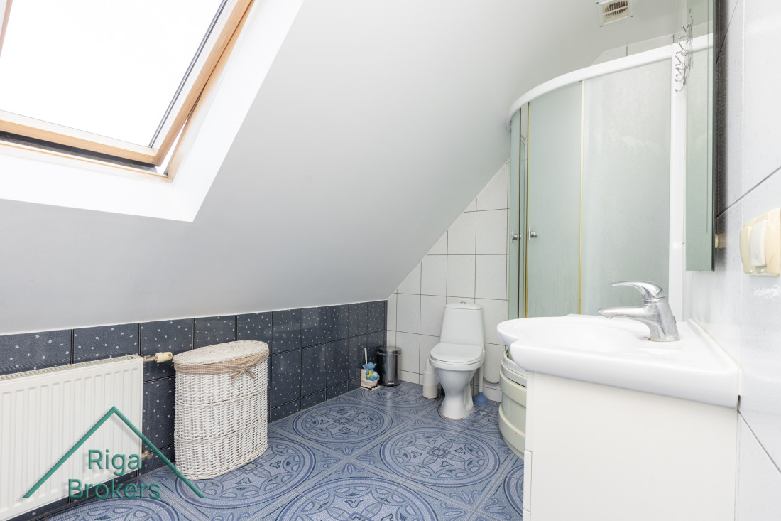 Bathroom with skylight and shower cabin.