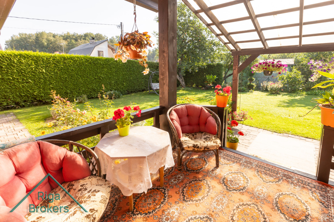 Sunny terrace with colorful plants.
