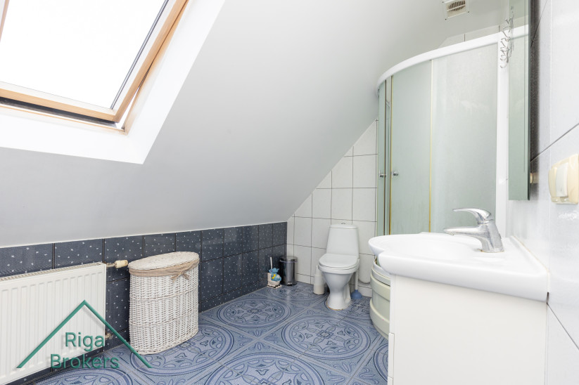 Bathroom with skylight and shower cabin.