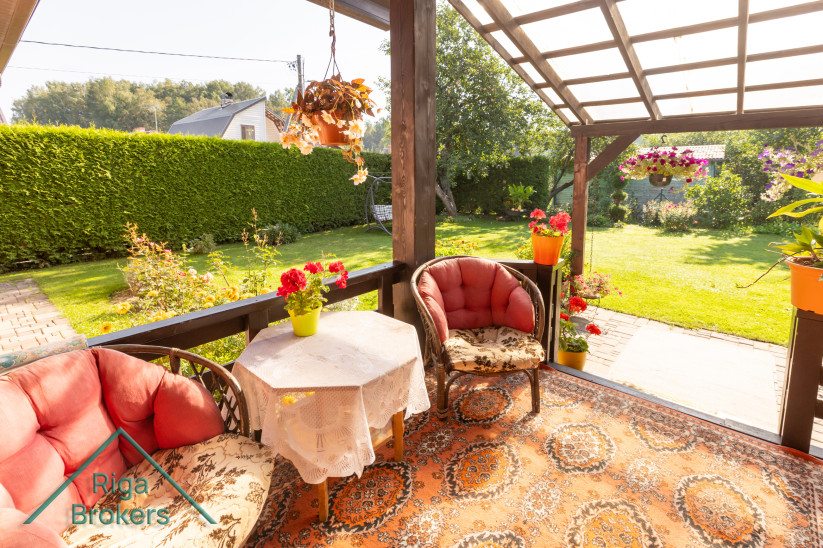 Sunny terrace with colorful plants.