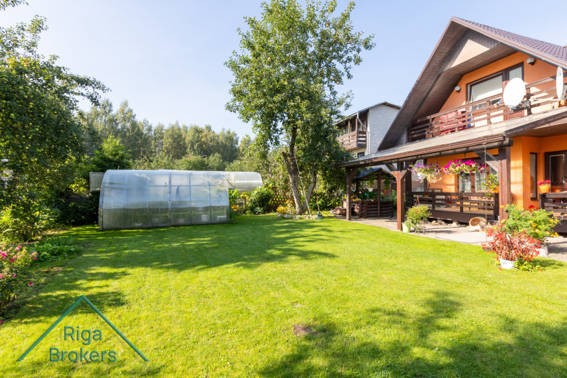 Green backyard with a greenhouse.