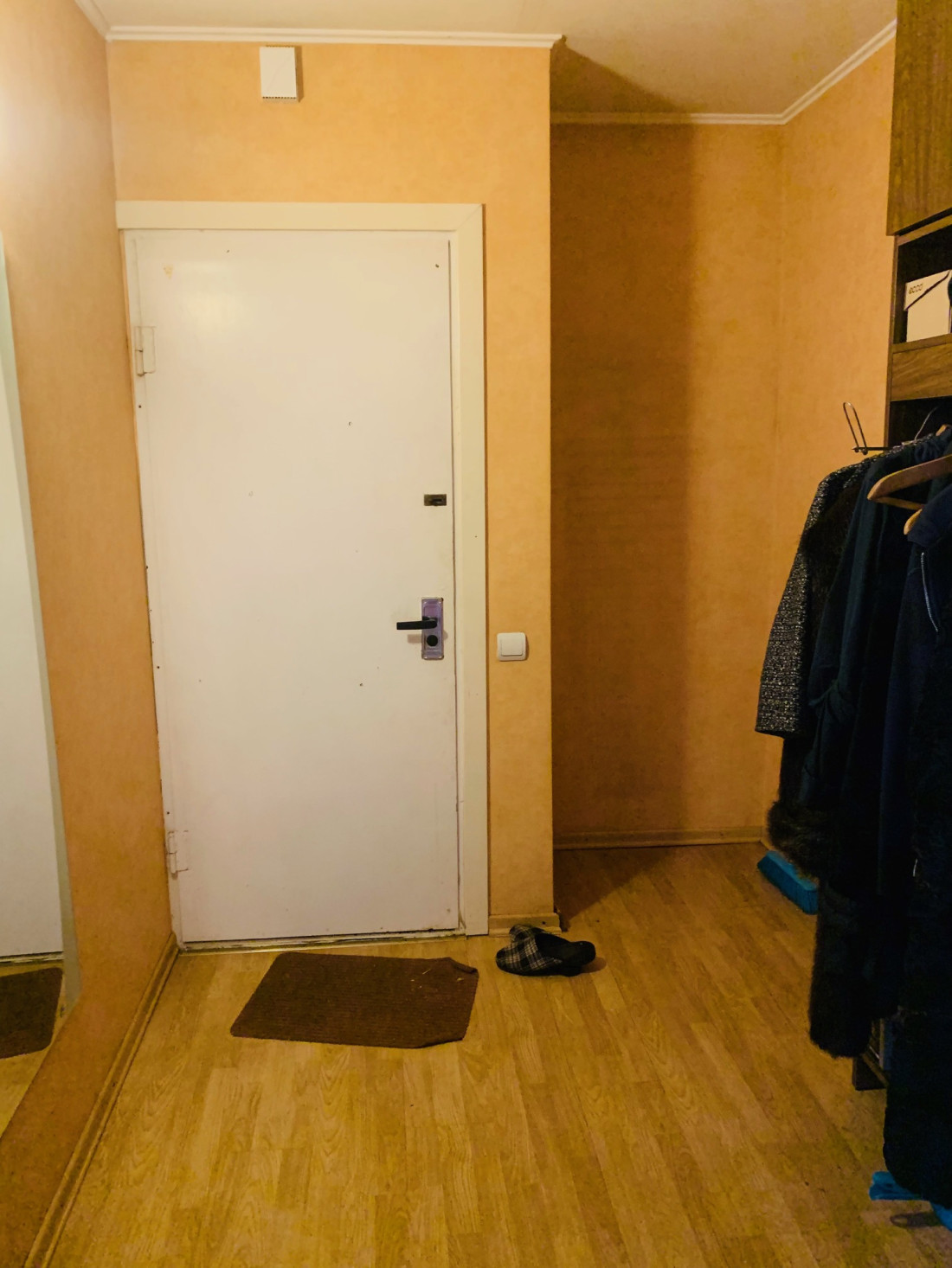 Apartment entrance door with a mat.