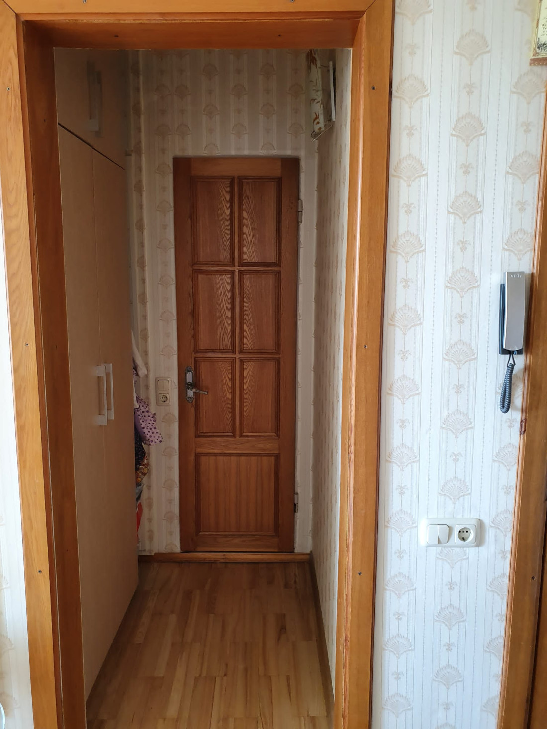 Hallway with wooden door and decor.