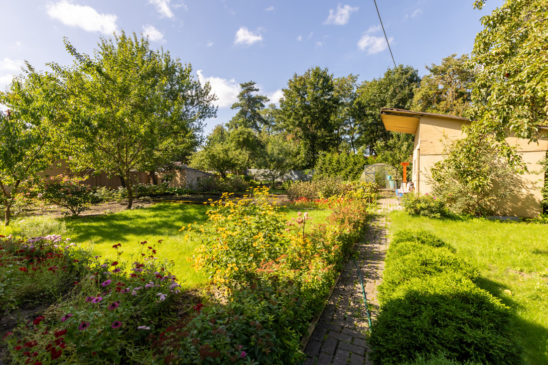 Green garden with flowers and pathway.