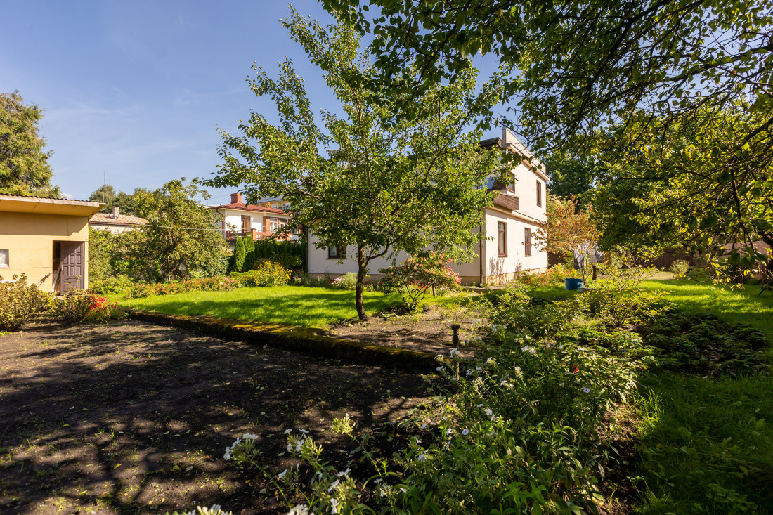 Backyard with green garden and trees.