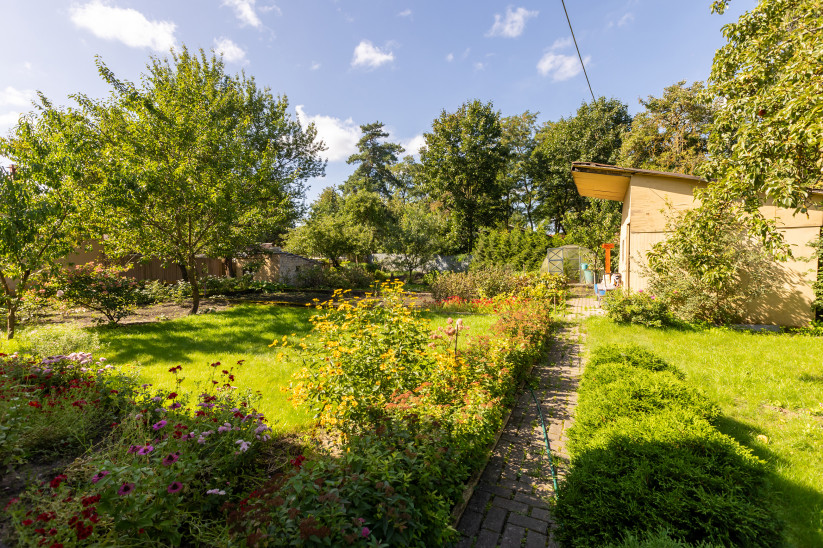 Green garden with flowers and pathway.