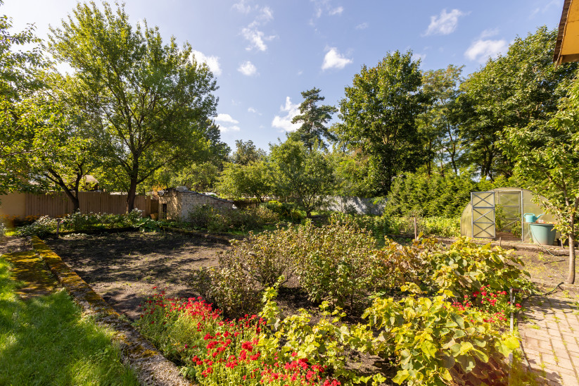 Garden with flowers and greenhouse in background.