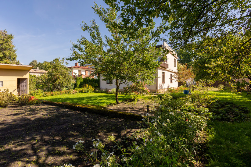 Backyard with green garden and trees.