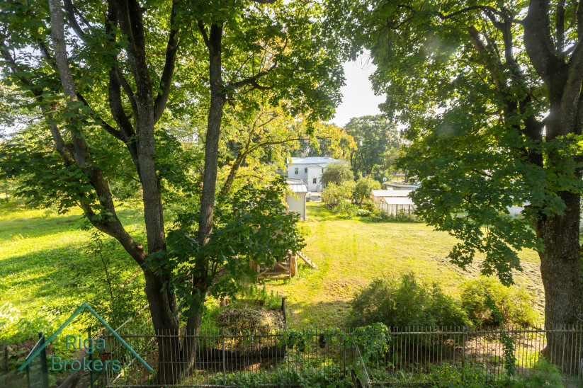 View from a window to a green courtyard with trees.