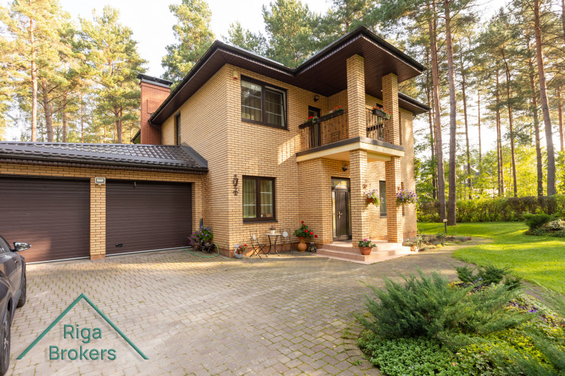 House near forest in a green area.