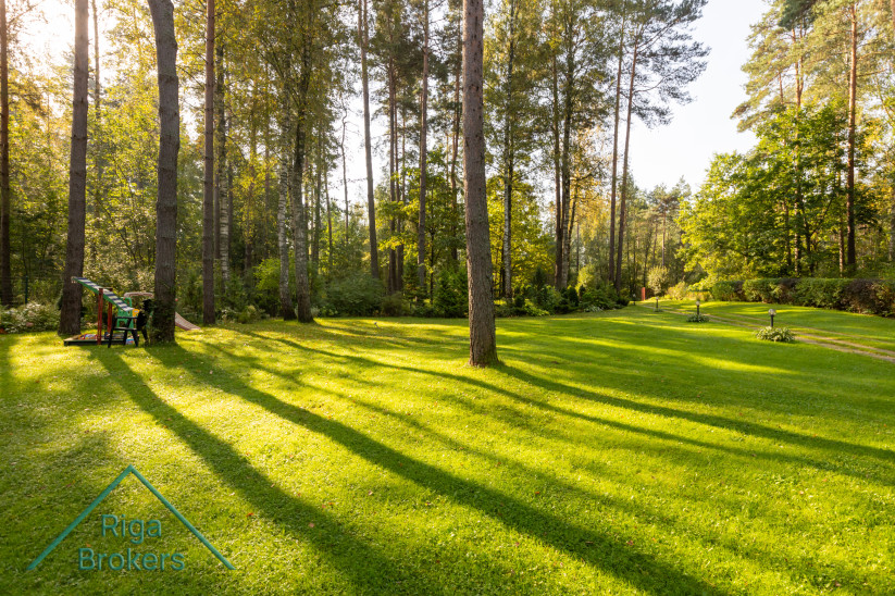 Green lawn with playground.