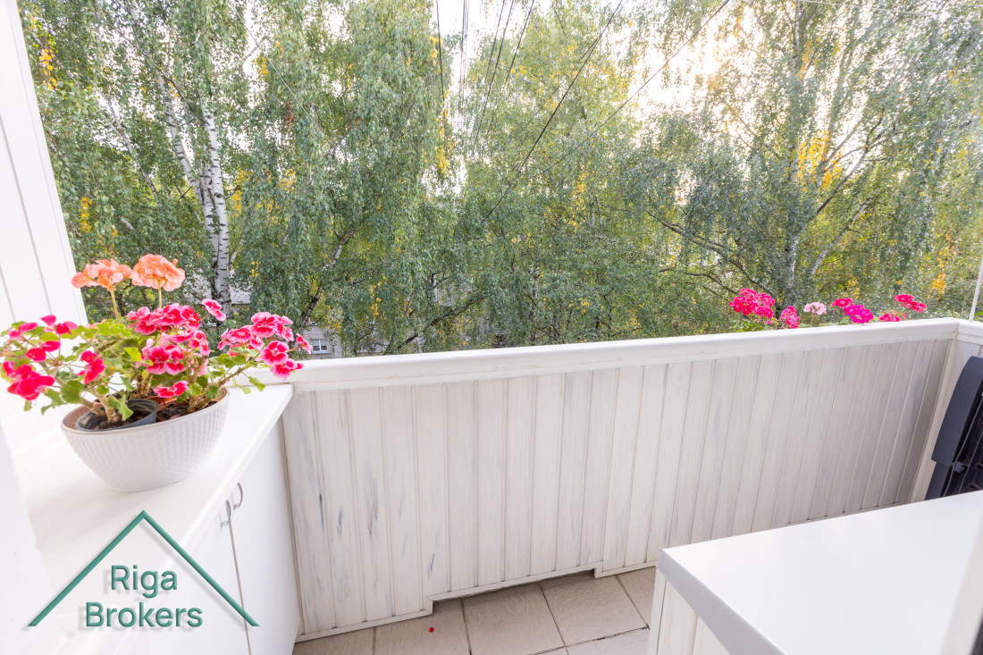 Balcony with flowers and greenery view.