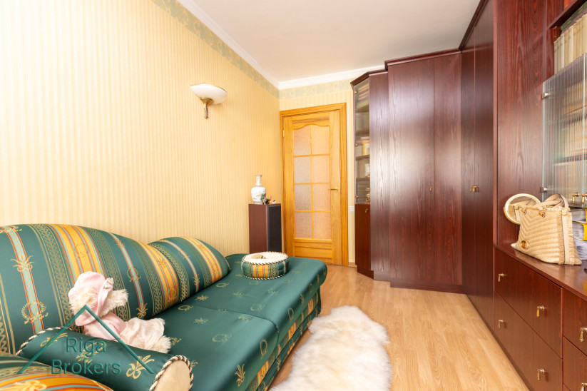 Living room with a green sofa and rug.