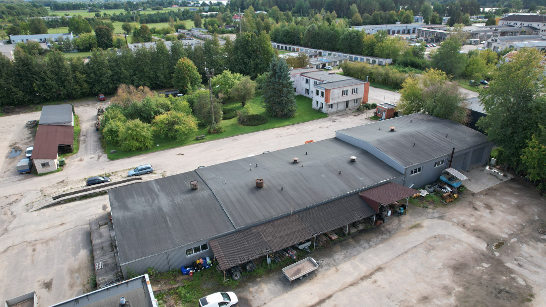 Zaļā zona ar kokiem industriālā teritorijā.