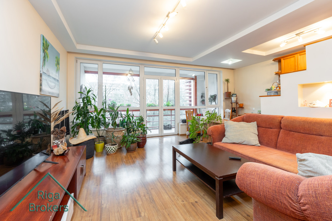 Living room with plants and large windows.