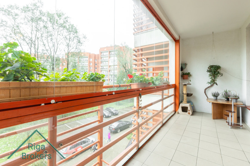 Balcony with glass windows and plants.