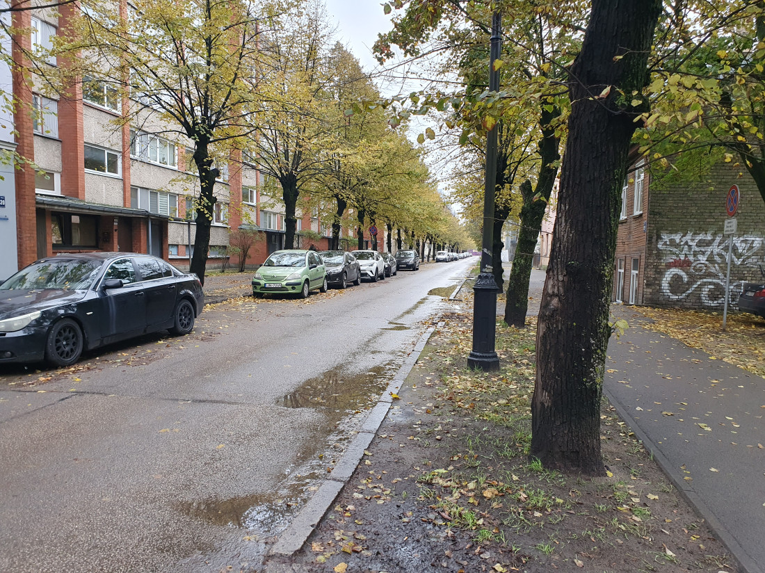 Iela ar kokiem un automašīnām abās pusēs.