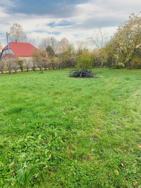 Zālājs ar nelielu zariņu kaudzi un mājām fonā.