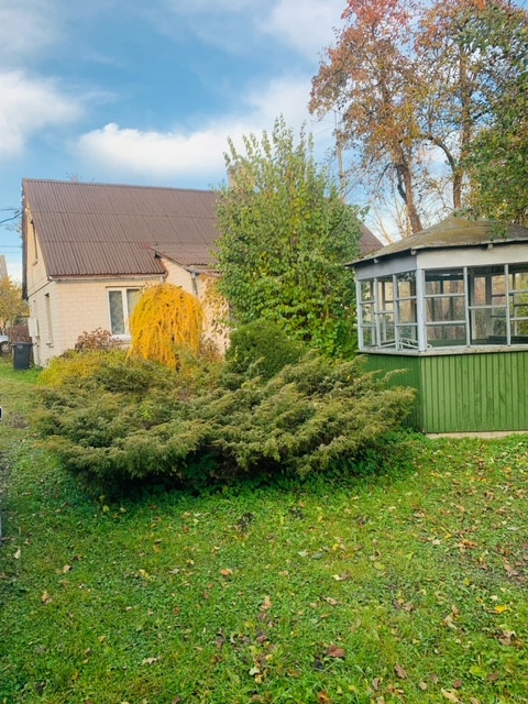 Dārzs ar zaļiem augiem un lapeni.