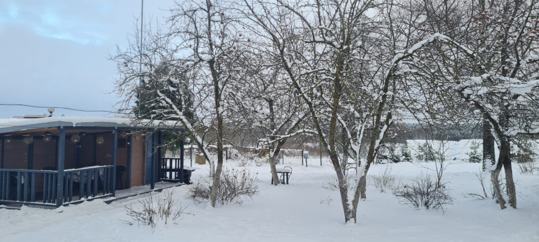 Winter garden with snow-covered trees.