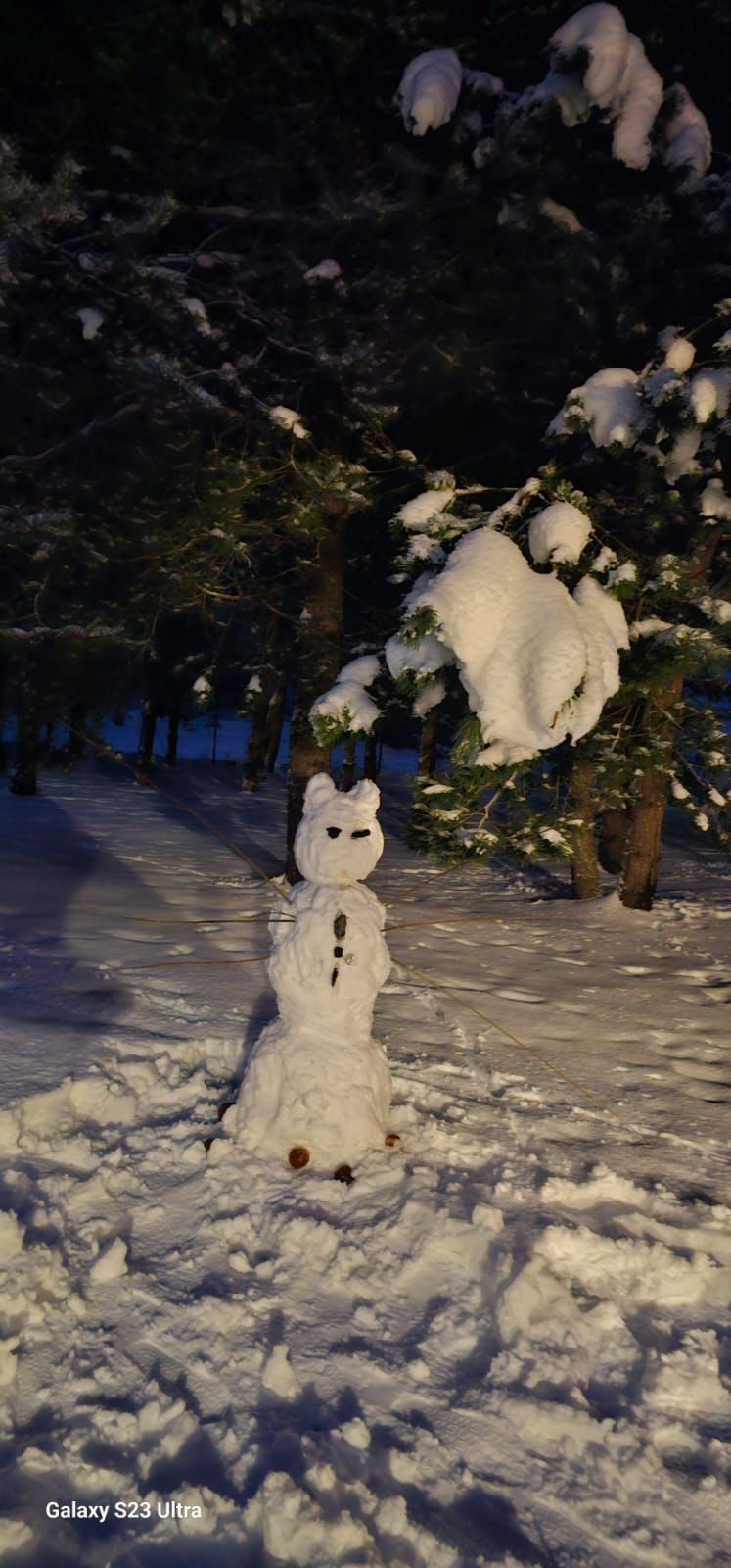 Snowman in a snowy forest scene.