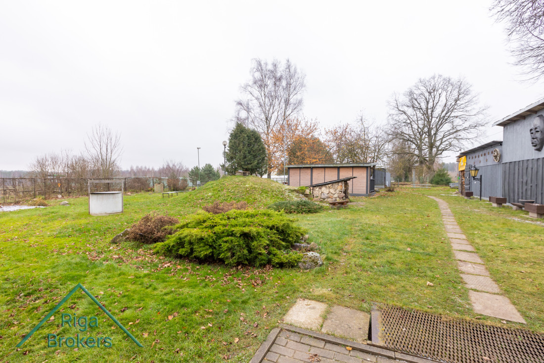 Yard view with wooden building and path.