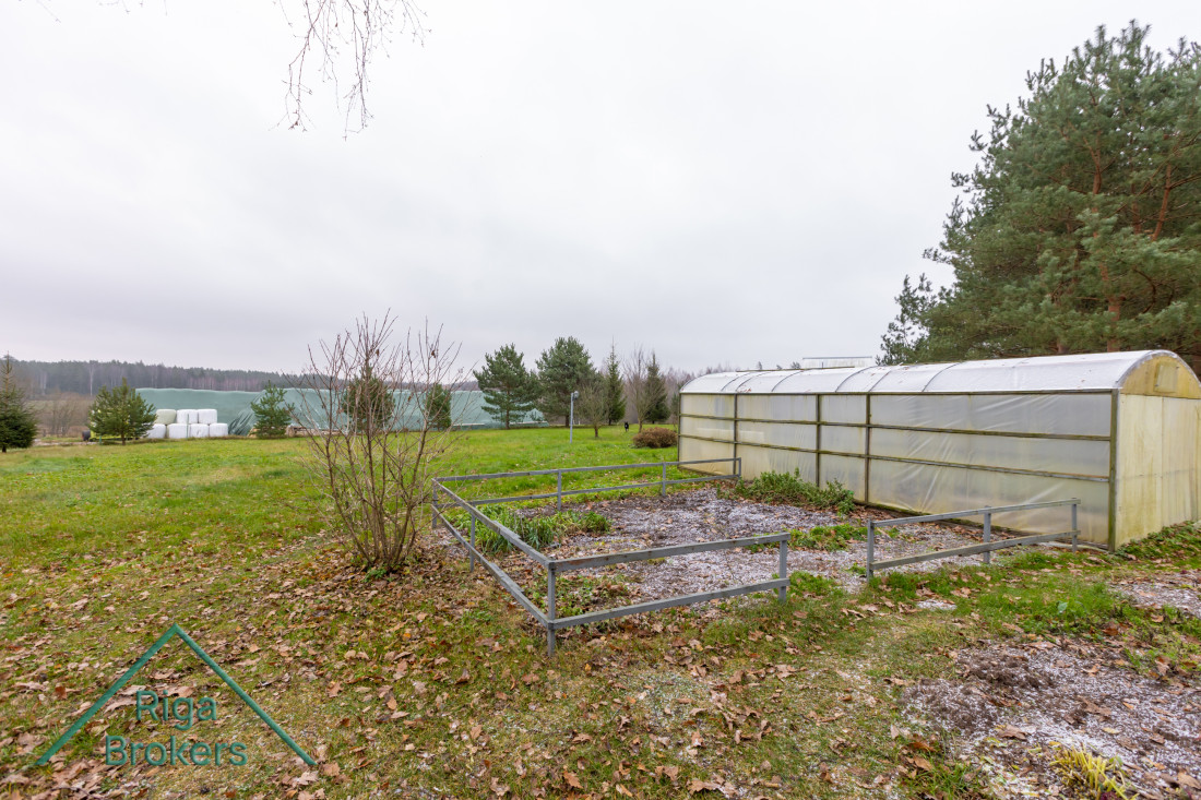 Greenhouse in a rural setting with greenery.