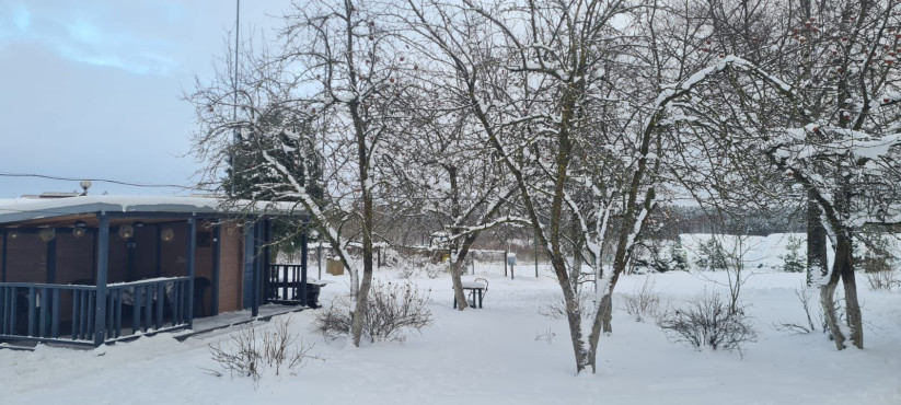 Winter garden with snow-covered trees.