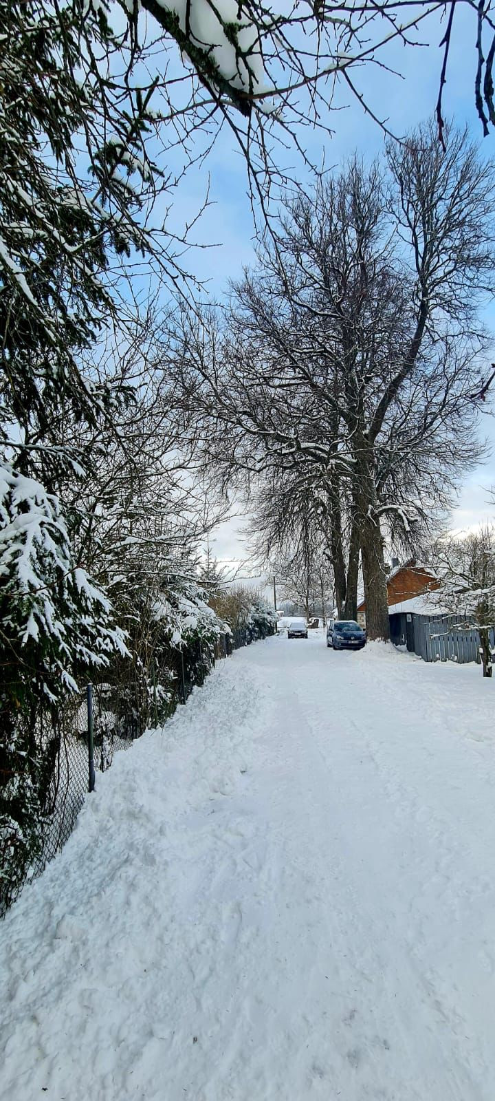 Winter street with a snowy landscape.