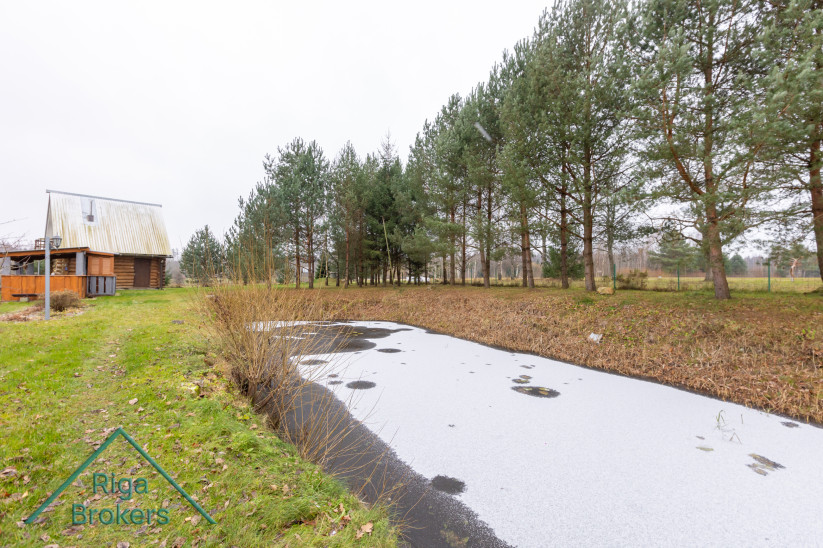 Wooden shed overlooking the pond