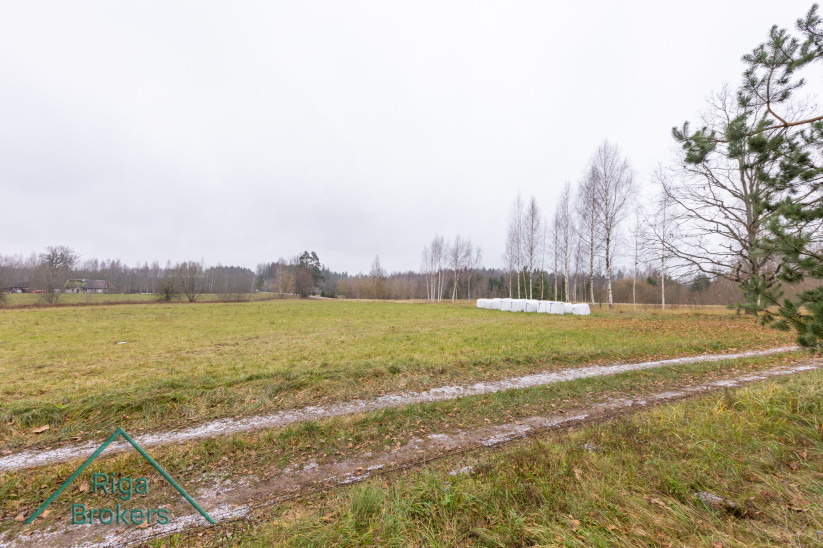 Forest-surrounded agricultural landscape