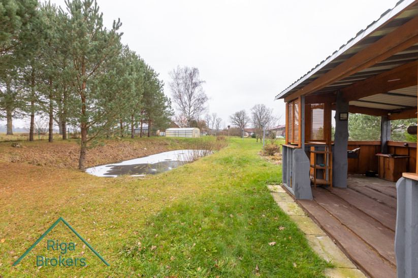 Small pond next to wooden shelter.