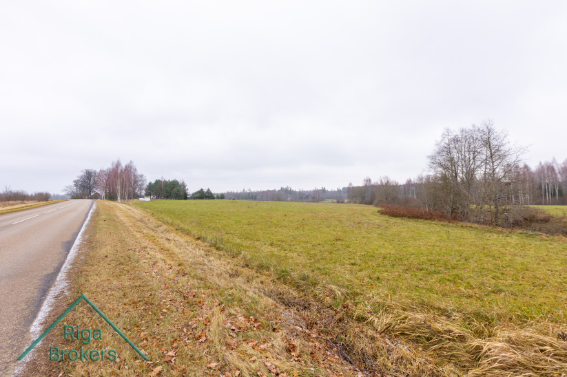 Wide meadow near the road in autumn.