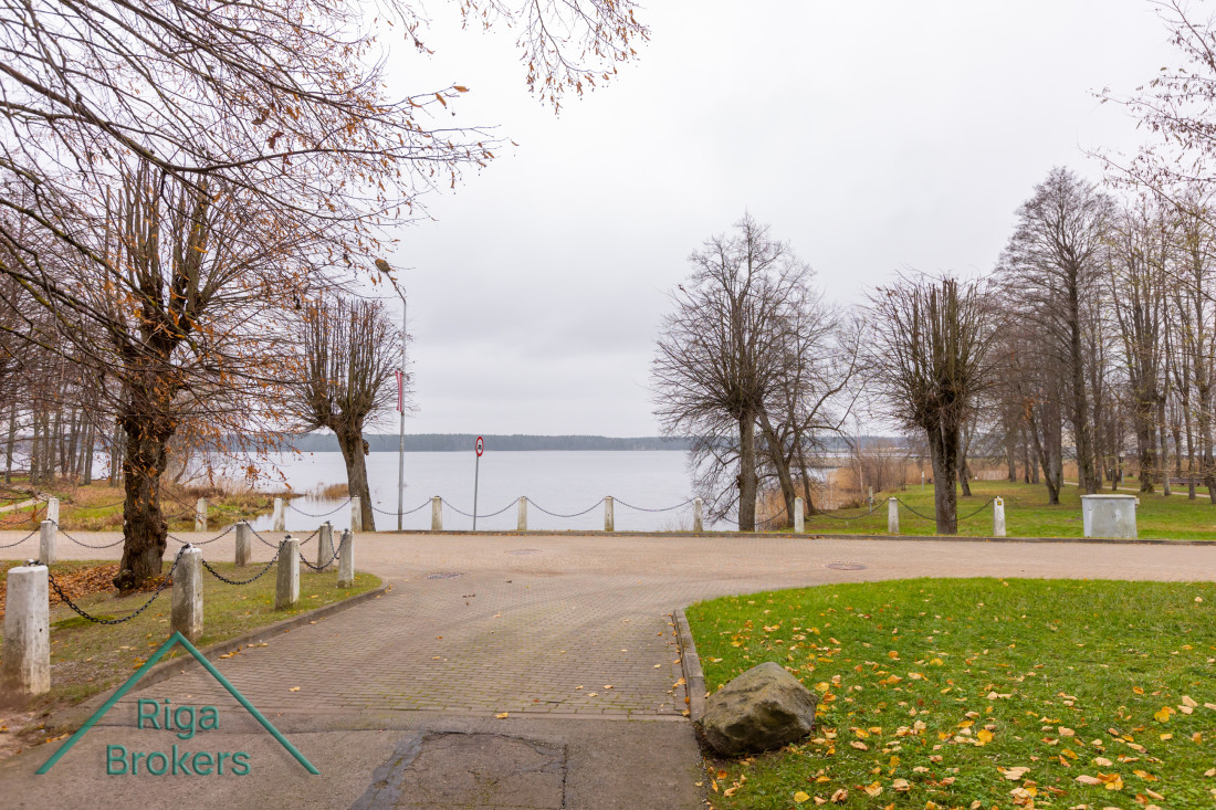 View of the lake and tree alley.