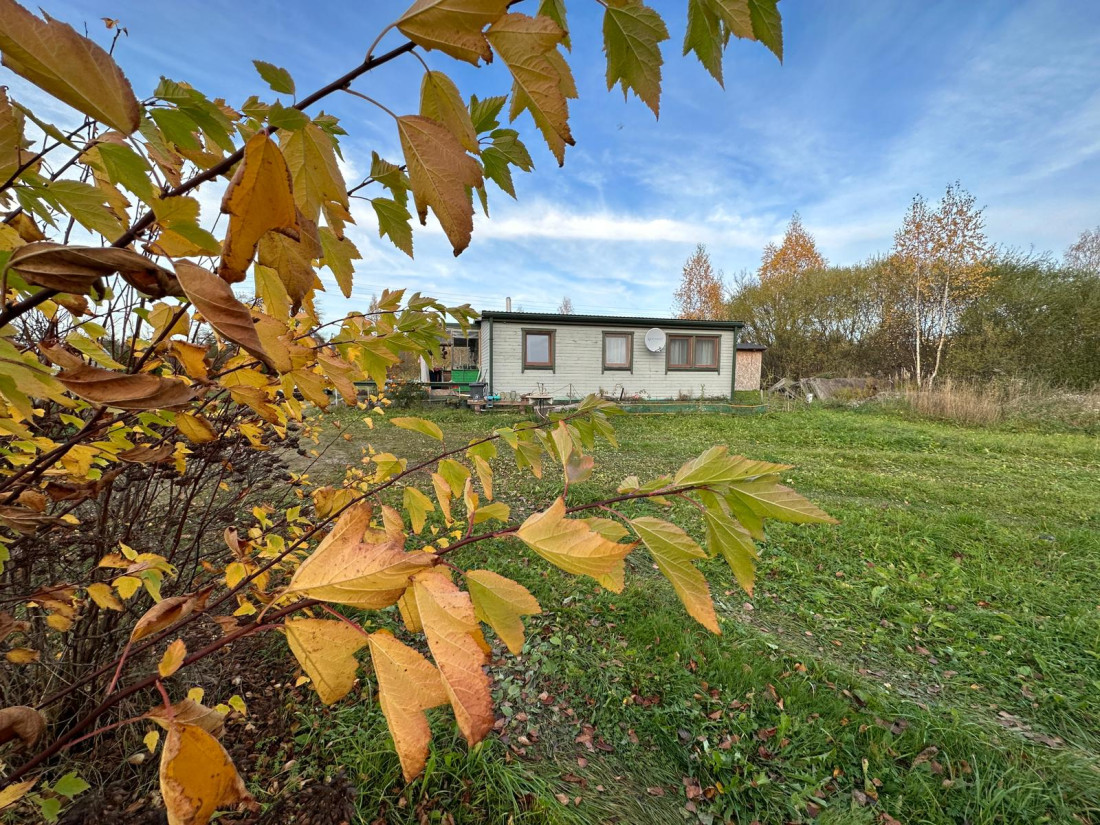 Māja ar rudens lapām priekšplānā.