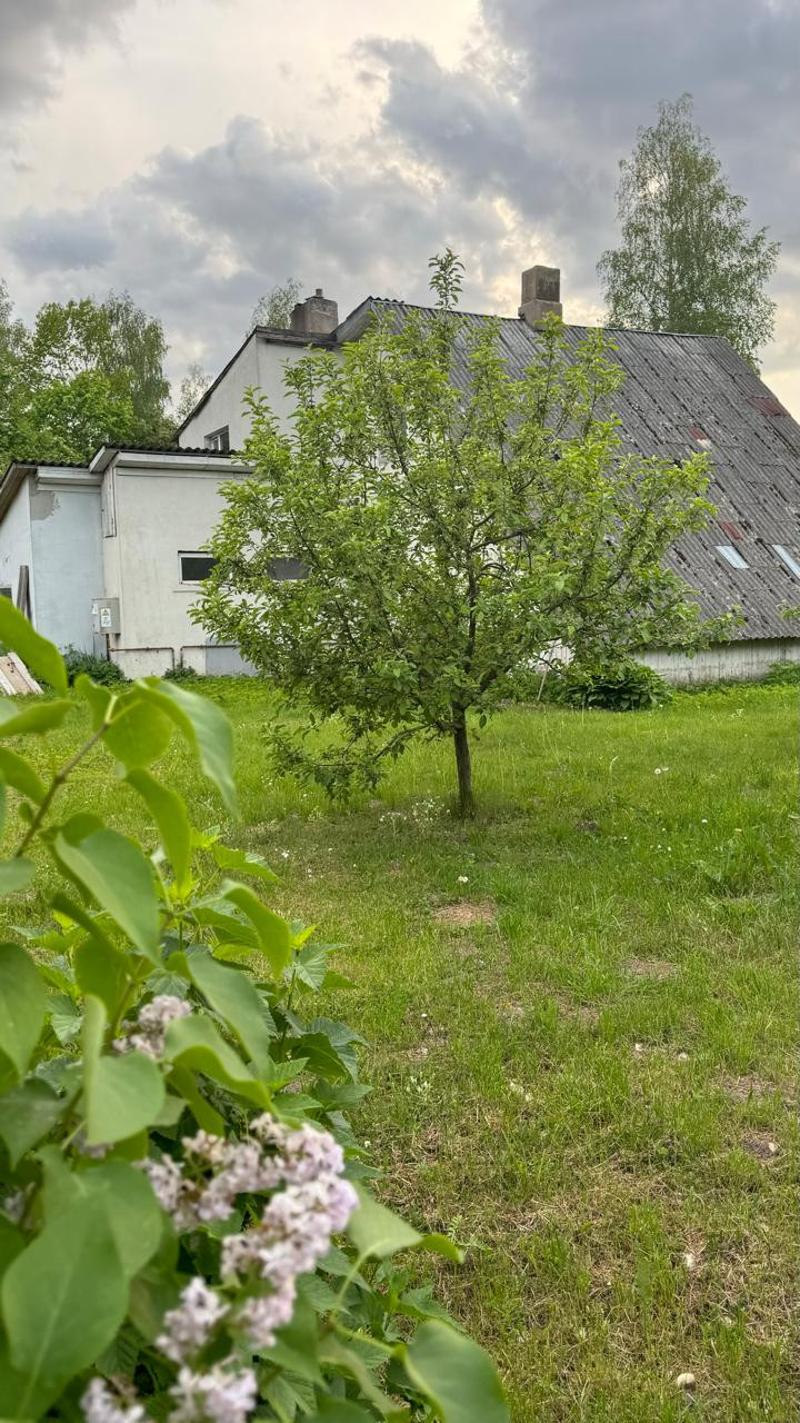 Lauku māja ar dārzu un koku ziedēšanas laikā.