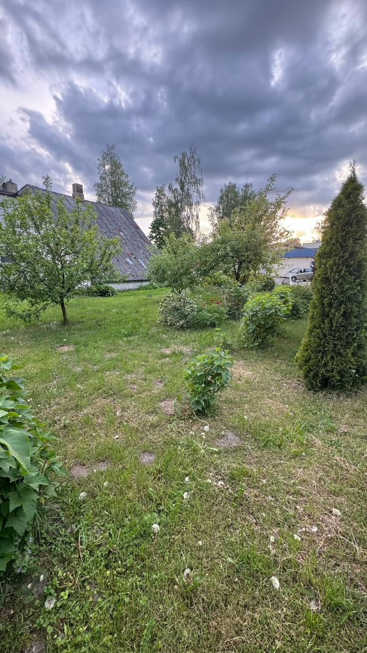 Lauku māja ar dārzu un ozolu apmācītā laikā.