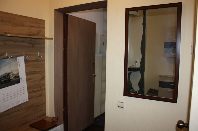 Mirror on the wall near the door.