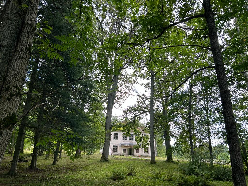 Māja ieskauta kokiem meža malā.