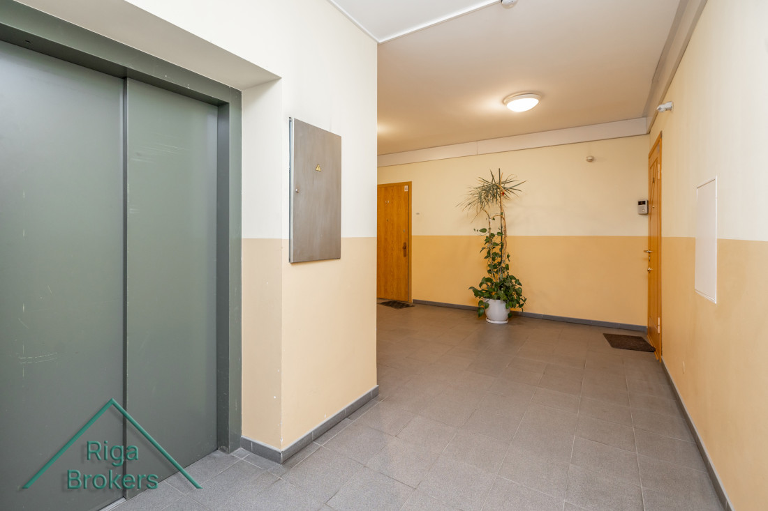Hallway with elevator and plants near the wall.