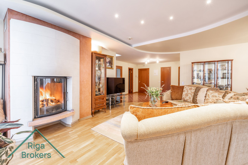  Living room with a fireplace and modern decor.