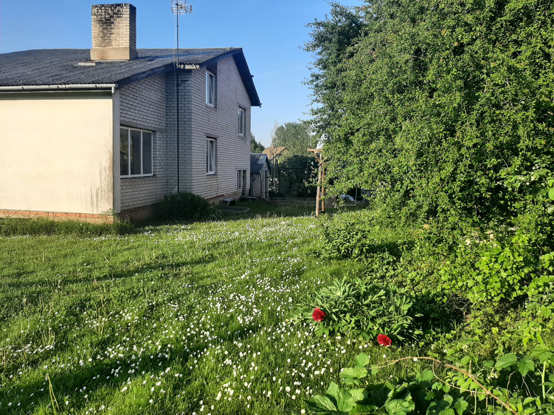 House next to a blooming meadow.